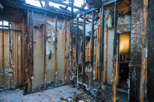 Professional Smoke Odor Removal technician working in Columbia, KY